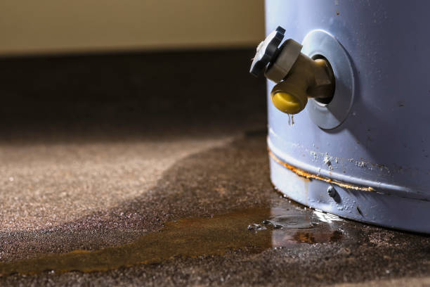 Best 24/7 water damage repair  in Dodgeville, WI