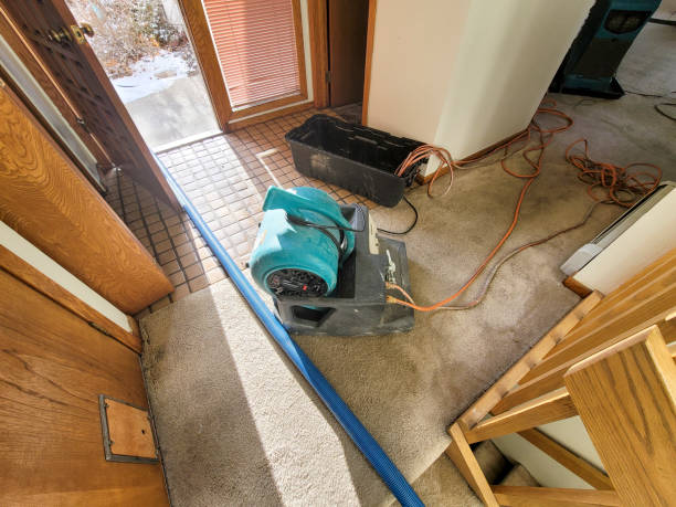 Best Fire Damage Restoration  in Dodgeville, WI