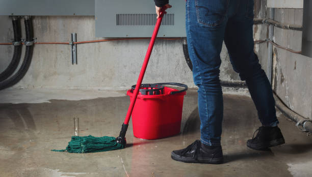 Best Carpet water damage restoration  in Dodgeville, WI