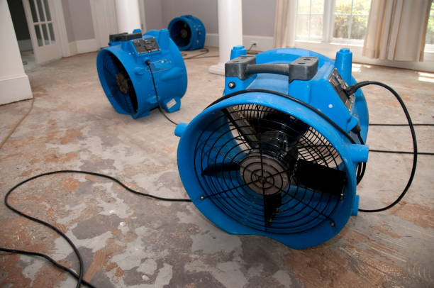 Best Water damage restoration near me  in Dodgeville, WI