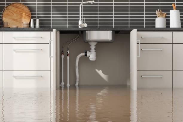 Best Commercial water damage restoration  in Dodgeville, WI
